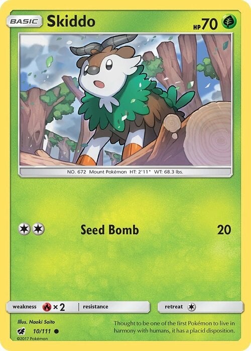 Skiddo