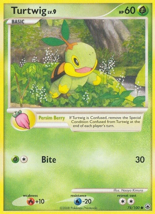 Turtwig Lv.9