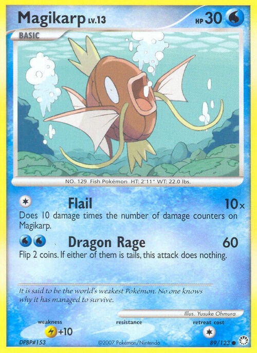 Magikarp Lv.13