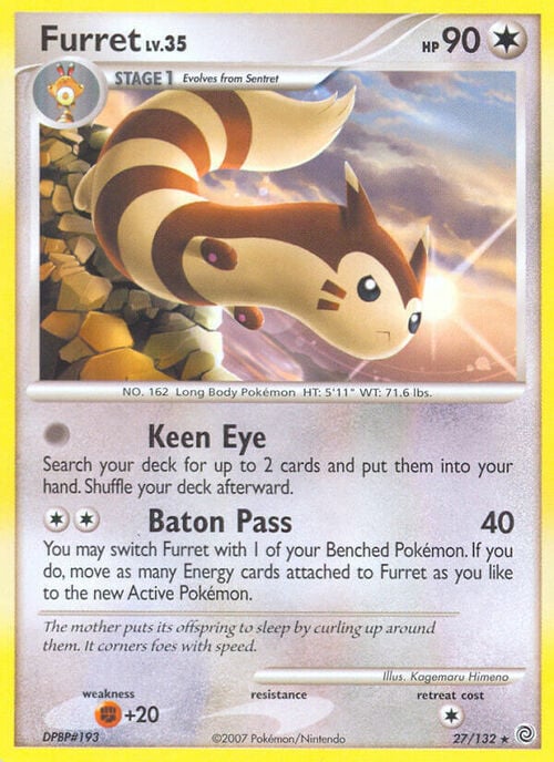 Furret Lv.35
