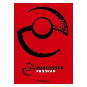 Professor Program