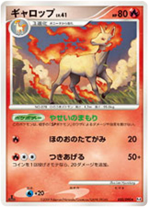 Rapidash LV.41