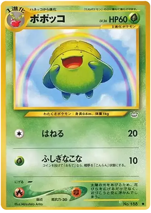 Skiploom