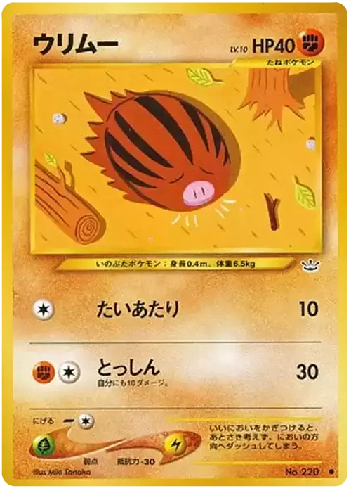 Swinub