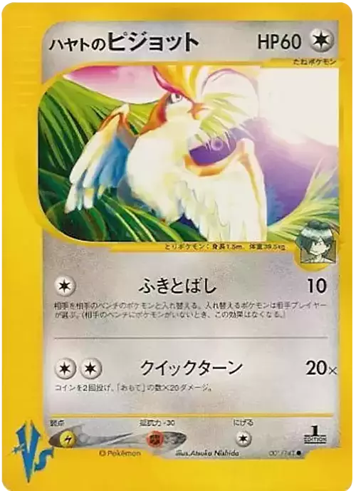 Falkner's Pidgeot