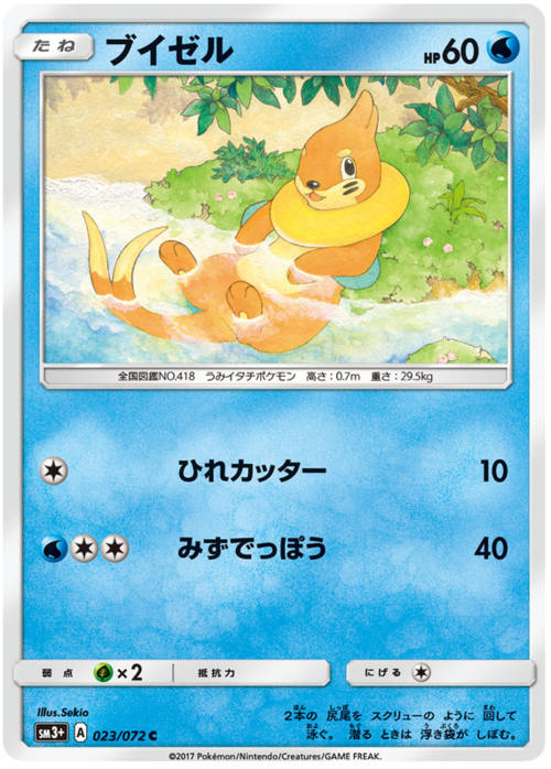 Buizel