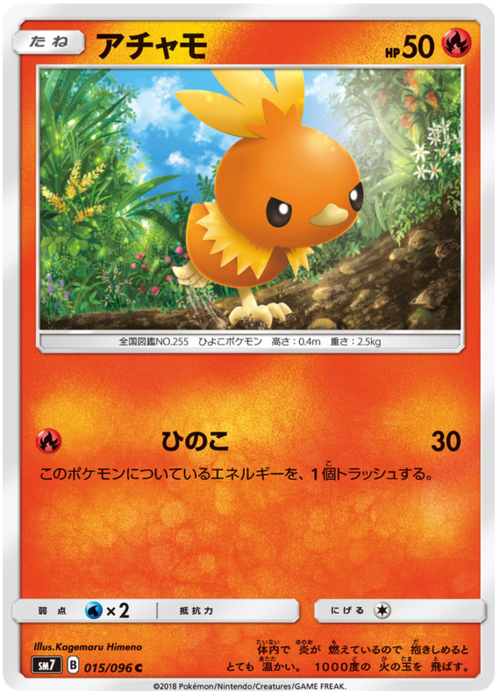 Torchic