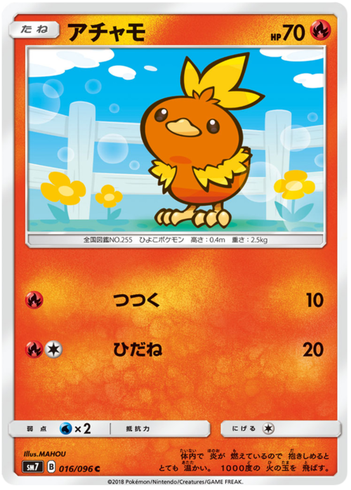 Torchic