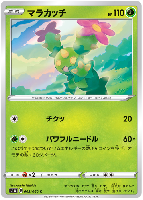 Maractus