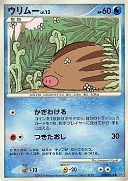 Swinub Lv.13