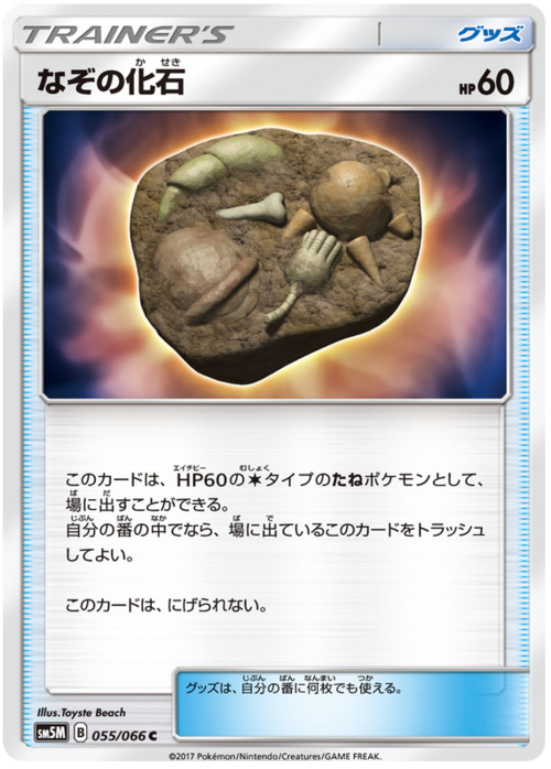 Unidentified Fossil