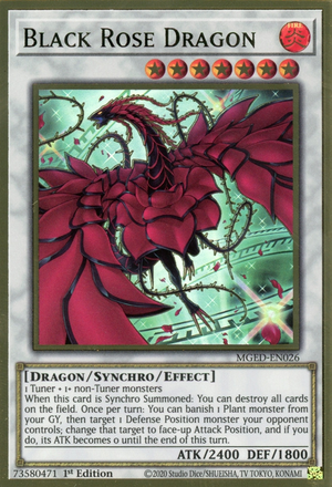 Black Rose Dragon
