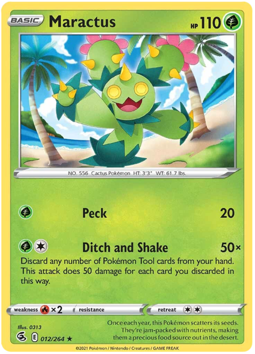 Maractus