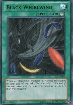 Black Whirlwind