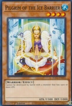 Pilgrim of the Ice Barrier