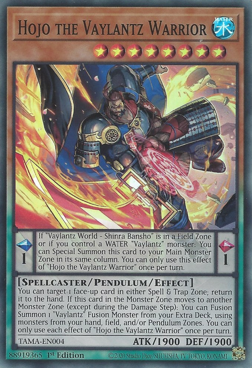 Hojo the Vaylantz Warrior