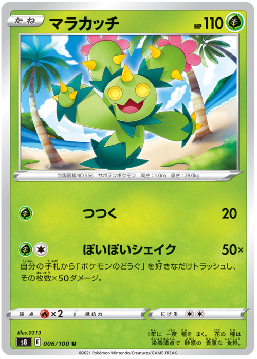 Maractus
