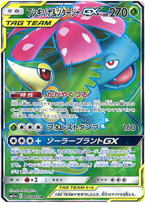 Venusaur & Snivy GX