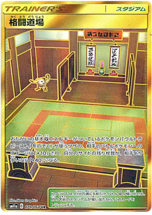 Martial Arts Dojo