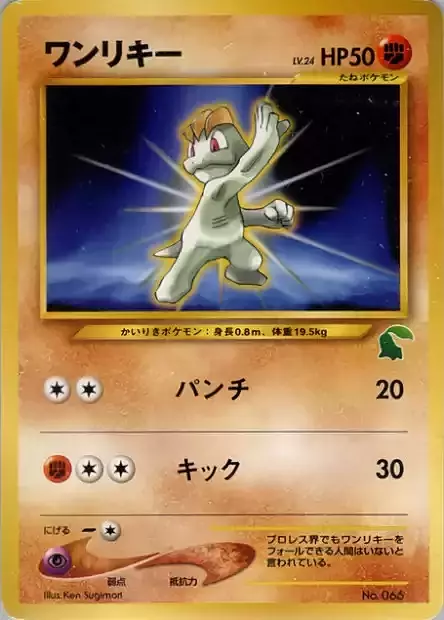 Machop Lv.24