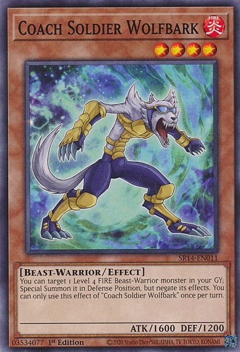 Coach Soldier Wolfbark