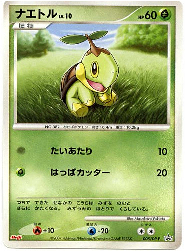 Turtwig Lv.10