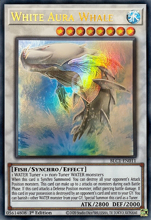 White Aura Whale
