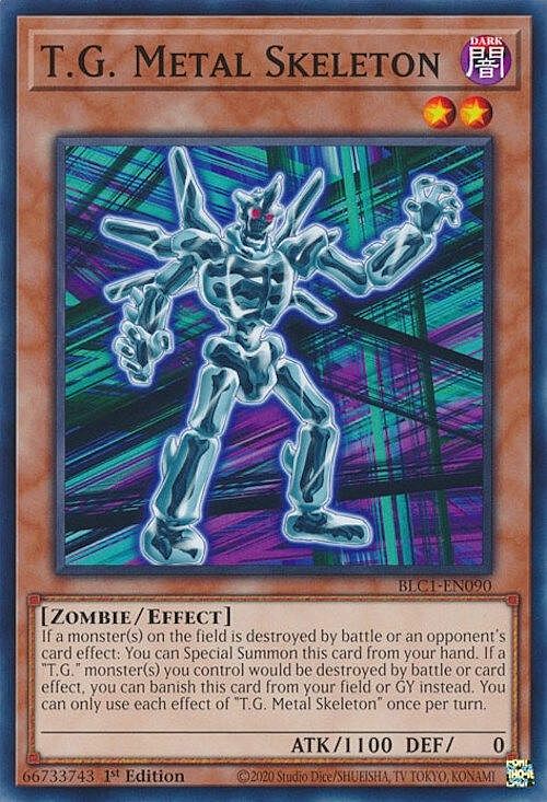 T.G. Metal Skeleton