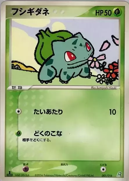 Earth's Groudon ex Constructed Starter Deck