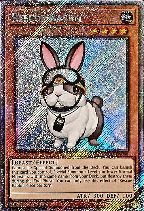 Rescue Rabbit