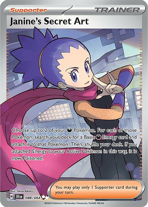 Janine's Secret Art