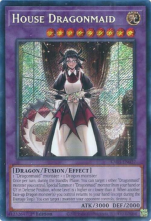 House Dragonmaid