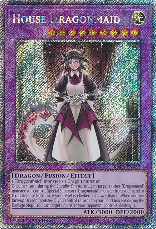 House Dragonmaid