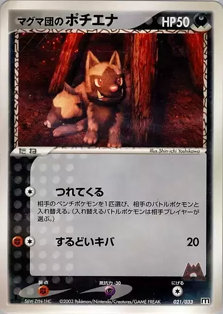 Team Magma's Poochyena