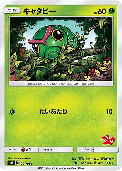 Sun & Moon Family Pokémon Card Game
