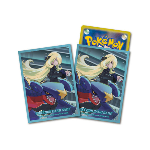 Accessories cover