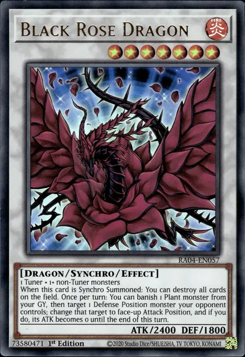 Black Rose Dragon