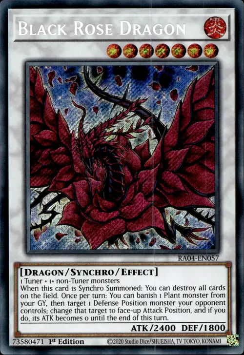 Black Rose Dragon
