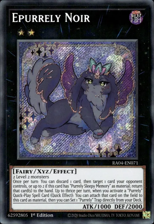 Epurrely Noir