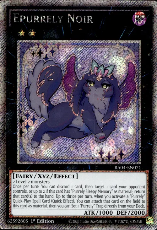 Epurrely Noir