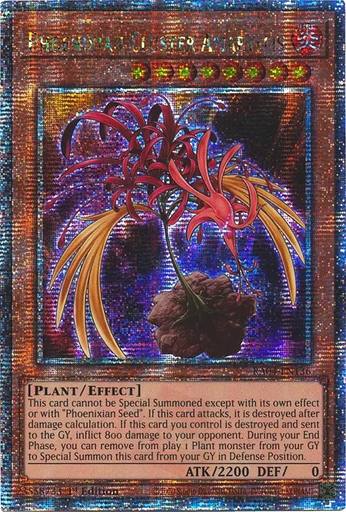 Phoenixian Cluster Amaryllis