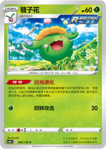 Skiploom