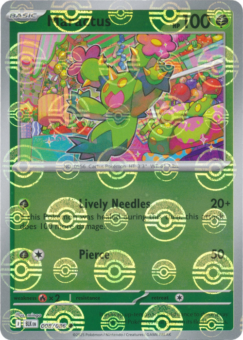 Maractus