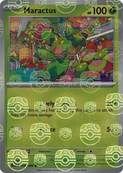 Maractus