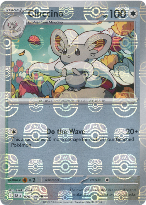 Cinccino