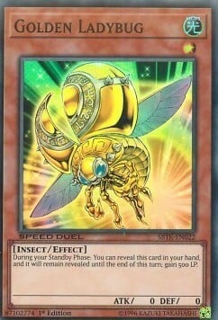 Golden Ladybug