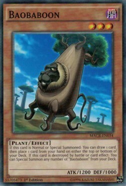 Baobaboon