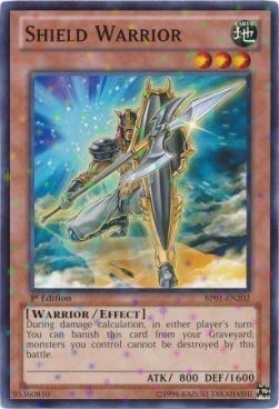 Shield Warrior