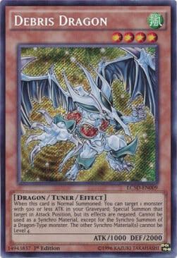 Debris Dragon