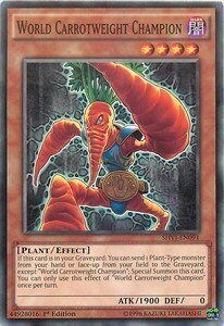 World Carrotweight Champion
